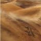 Artist’s depiction of the early amniote moving diagonally up a sand dune, creating the first of two trackways seen on the boulder.